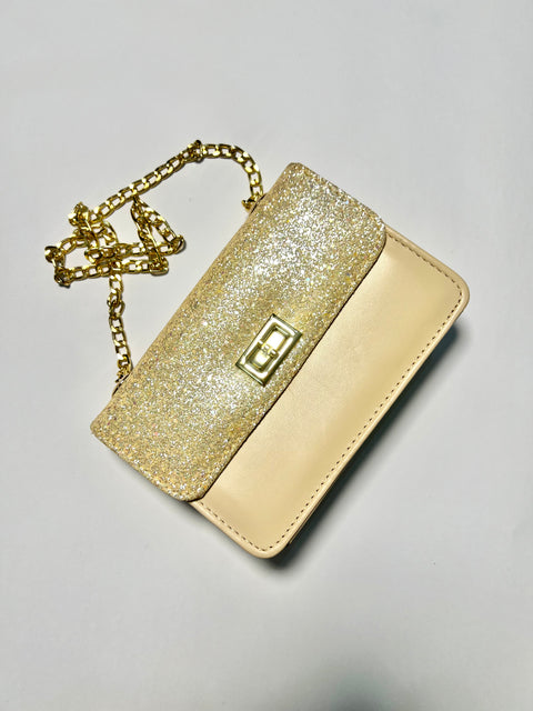 RC-40 Mini shinny Bags for kids. Regal Carrier